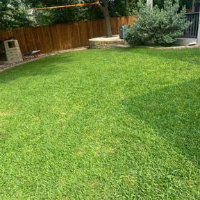 lawn care by Aero Lawns, LLC. reviewed on November 9, 2017