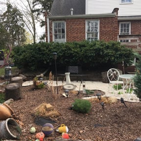 Bush Trimming by Gowdy&#039;s Lawn Service reviewed on November 20, 2025