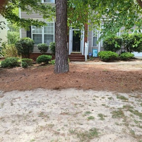 Bush Trimming by MarroquÃn Landscaping LLC reviewed on August 15, 2025