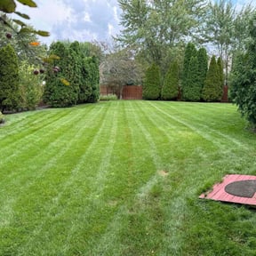 yard service by Salaam Lawn Care reviewed on October 22, 2025