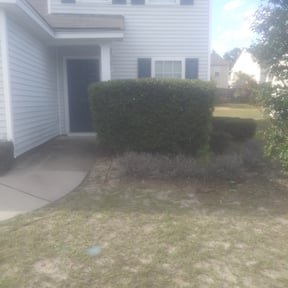 Bush Trimming by Creative Edge lawn & Landscape reviewed on August 14, 2025