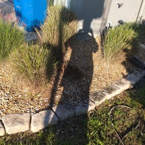 Flower Bed Weeding by 5 star lawn care reviewed on August 15, 2025