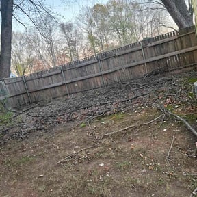 Leaf Removal by Top Notch Lawn Care reviewed on September 9, 2025