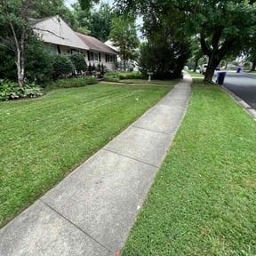 yard service by M &amp; F Landscaping Services LLC reviewed on December 17, 2025