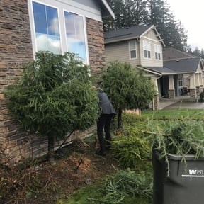 Bush Trimming by Re Image lawn care reviewed on August 15, 2025