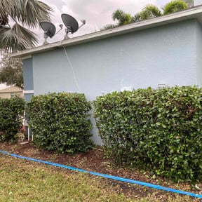 Bush Trimming by A Cut Above Lawn Care Service reviewed on August 17, 2025