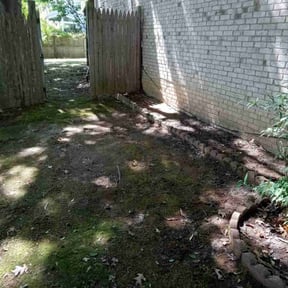 Leaf Removal by Nuk&#039;s landscaping and irrigation llc reviewed on September 9, 2025