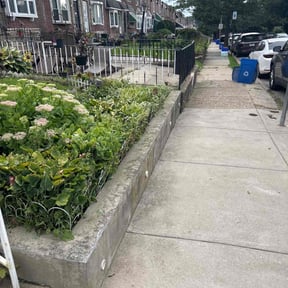 Bush Trimming by ShiftChange LLC Lawn Service reviewed on August 15, 2025