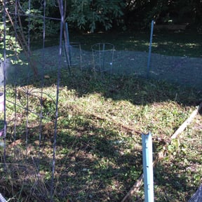 Flower Bed Weeding by Green Matters Lawn Care reviewed on August 16, 2025