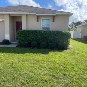 Bush Trimming by Andy&#039;s landscape reviewed on November 23, 2025