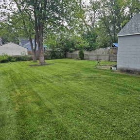 lawn maintenance by Charleston Green Team LLC. reviewed on August 16, 2023