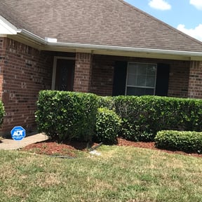 Bush Trimming by JH Landscape LLC reviewed on August 17, 2025