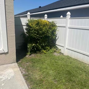 Bush Trimming by Residential lawn improvement services reviewed on August 19, 2025