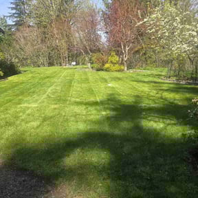 turf care by K&#039;s Lawn Care reviewed on May 26, 2025