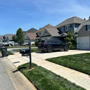 yard maintenance by Lopez Property Services Inc. reviewed on August 15, 2025