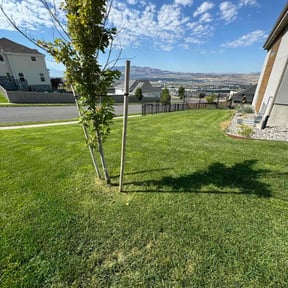 residential landscaping by Medlyn Services L.L.C reviewed on August 20, 2025