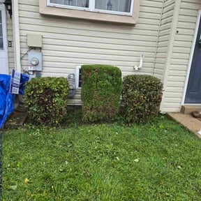 Bush Trimming by Steve&#039;s Lawn Mowing and Odd Jobs reviewed on October 23, 2025