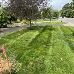 landscape maintenance by Carter Landscape Services reviewed on August 19, 2025