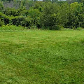 yard care by VOW Services reviewed on August 18, 2025