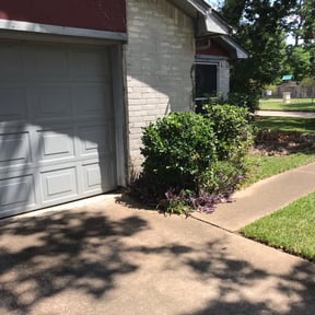 Bush Trimming by J&#039;s Clean Cut Yards reviewed on August 17, 2025