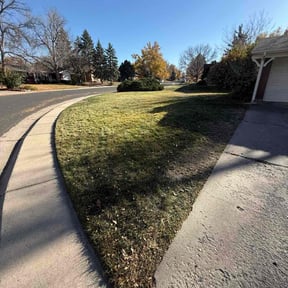 Leaf Removal by Eco IGS Landscaping reviewed on November 8, 2025