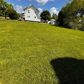 landscape maintenance by Re Image lawn care reviewed on August 16, 2025
