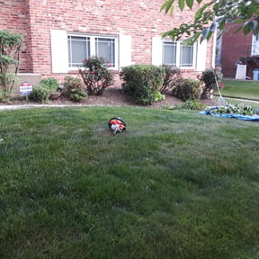 Bush Trimming by Sunnyside Lawn care reviewed on August 17, 2025