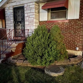 Flower Bed Weeding by Nicks lawn care reviewed on August 21, 2025