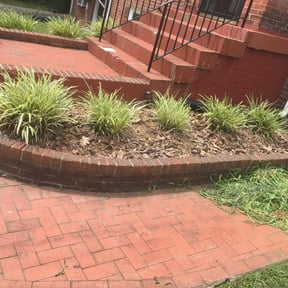 Flower Bed Weeding by Melody's Adaptable Designs reviewed on August 21, 2025