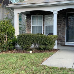 Bush Trimming by Solar Landscaping and Tree Service reviewed on August 17, 2025