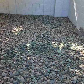 Leaf Removal by Sumner Property Management reviewed on April 19, 2026