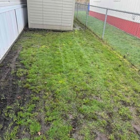 Leaf Removal by Keith Arvo reviewed on September 17, 2025