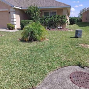 Bush Trimming by Ochoa Landscape and Irrigaton LLC reviewed on August 16, 2025