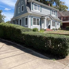 Bush Trimming by Code 3 Lawn LLC reviewed on October 19, 2025