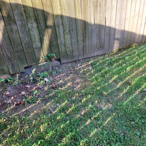 Leaf Removal by AGZ LANDSCAPING reviewed on September 10, 2025