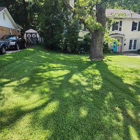 landscaping by Z & H Landscaping reviewed on August 20, 2025