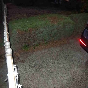 Bush Trimming by Frederickson Lawn Management reviewed on August 21, 2025