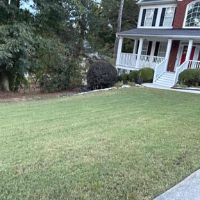 Bush Trimming by Gill handyman &amp; Cleaning Service reviewed on November 20, 2025