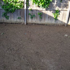 Leaf Removal by Chewys Landscaping reviewed on September 22, 2025