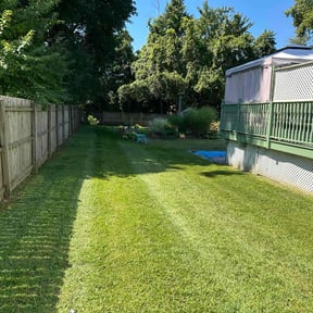 yard work by Kjc general contracting llc reviewed on November 24, 2025