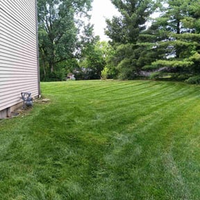 grass maintenance by Rene Home Services reviewed on August 18, 2025