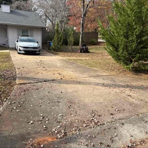 Leaf Removal by Newcomb's Family Lawn Service  reviewed on November 22, 2025