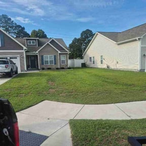 Bush Trimming by MW lawntech reviewed on August 16, 2026