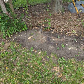 Flower Bed Weeding by Paul's Lawncare Services reviewed on August 16, 2026