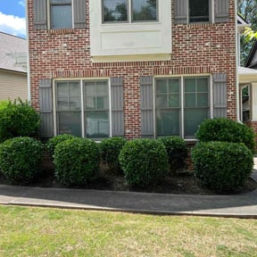 Bush Trimming by No Mow Worries Lawn Care reviewed on August 18, 2025