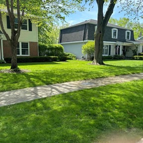 yard maintenance by Caldwell Lawn Care reviewed on August 16, 2025