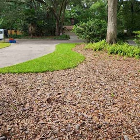 yard care by Monteocha Lawn Care Services reviewed on January 7, 2026