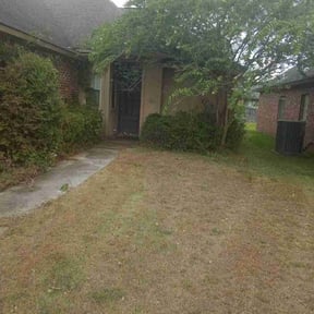 Bush Trimming by Dee lawn service reviewed on August 16, 2025