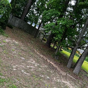 Bush Trimming by Cuts are Clean reviewed on August 21, 2025