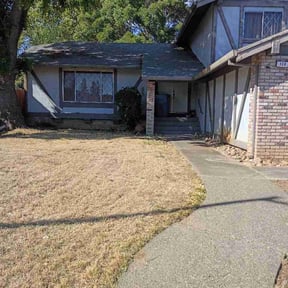 Bush Trimming by Malone Precision Lawn Care reviewed on June 10, 2026